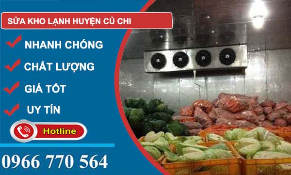công ty Sửa kho lạnh Huyện Củ Chi