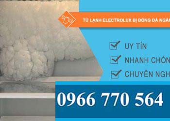 nguyên nhân tủ lạnh electrolux bị đóng đá ngăn mát