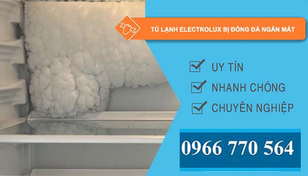 nguyên nhân tủ lạnh electrolux bị đóng đá ngăn mát