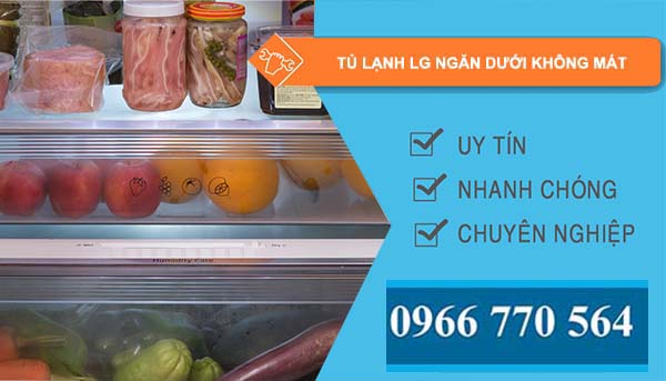 tủ lạnh lg ngăn dưới không mát